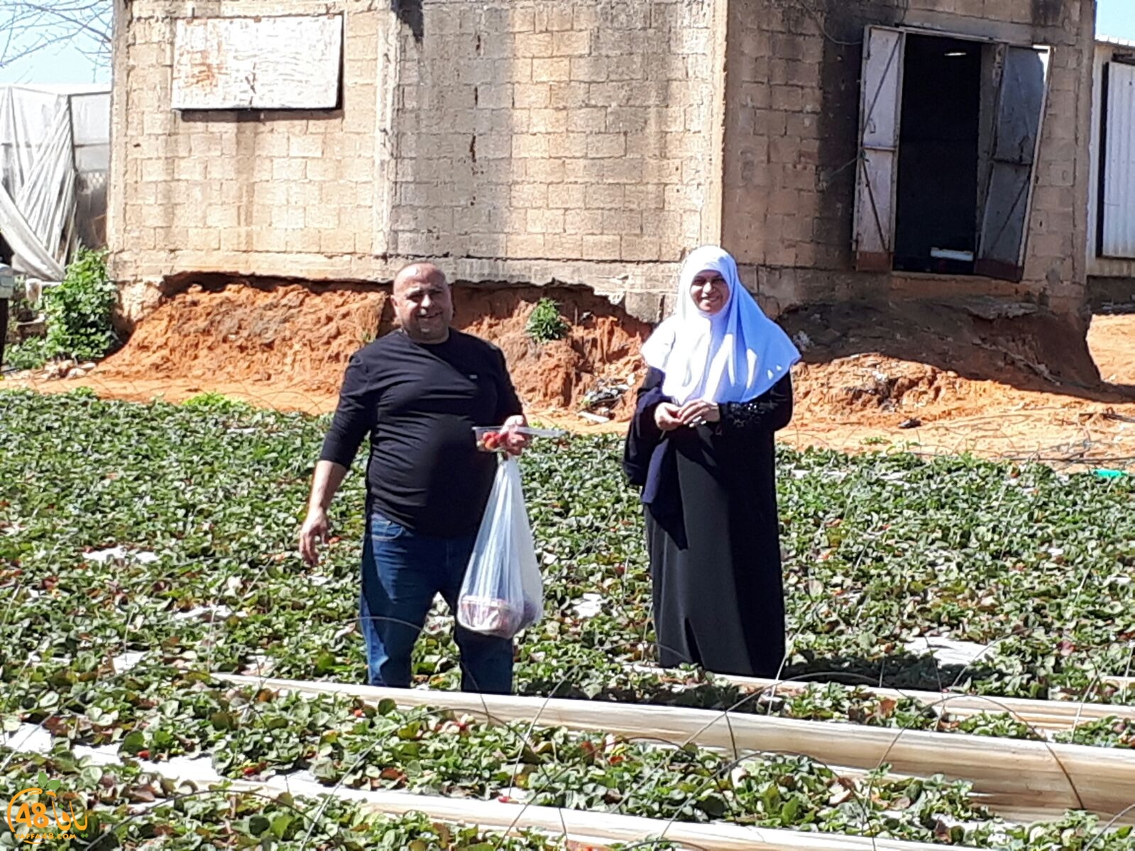 ab7bableaqsaa3 (39).jpg